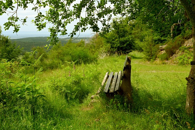 球球迷的目 球球迷的目