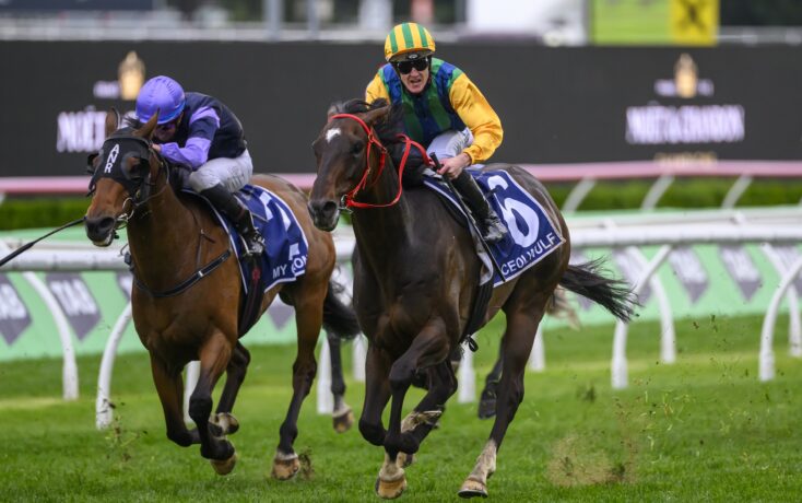 中备受关注 中备受关注